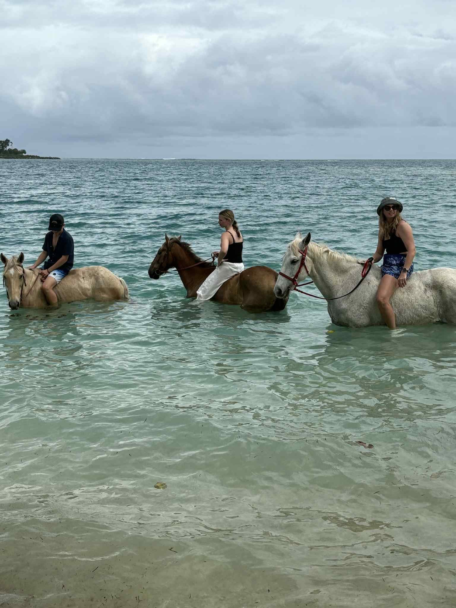 Horse and rider at the beach water's edge